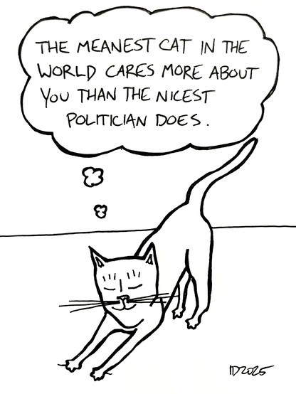 a cat stretches and thinks "the meanest cat in the world cares more about you than the nicest politician does."