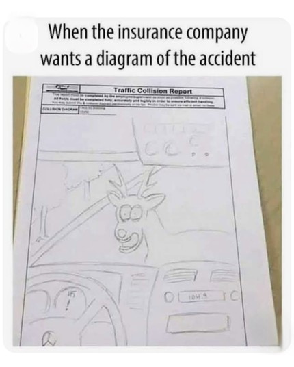 When the insurance company wants a diagram of the accident: a drawing of the dashboard of a car, which is approaching a startled-looking deer.